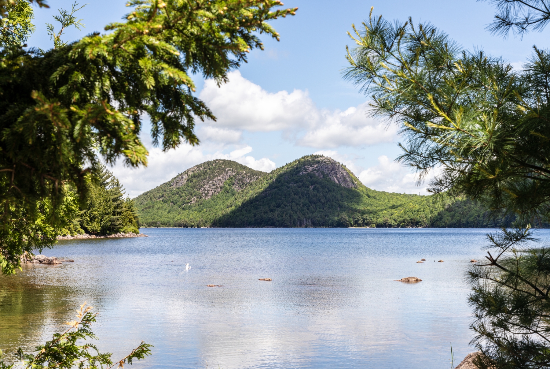 Arcadia NP June 2024